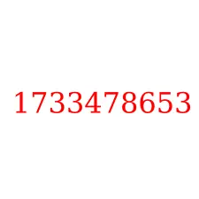 1733478653