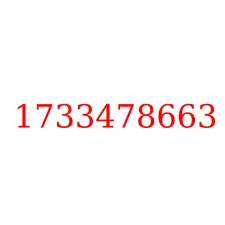 1733478663