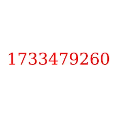 1733479260