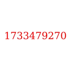 1733479270