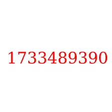 1733489390