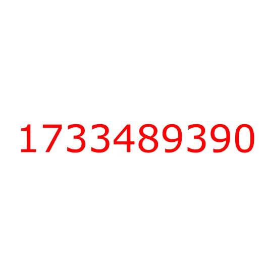 1733489390 крышка, 1733489390