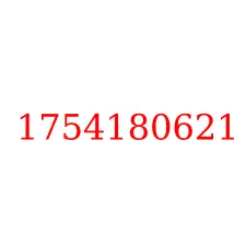 1754180621
