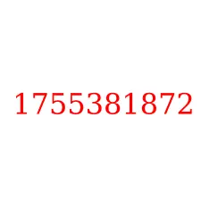 1755381872