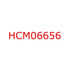 HCM06656