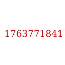 1763771841
