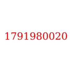 1791980020