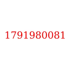 1791980081