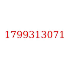 1799313071