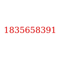 1835658391