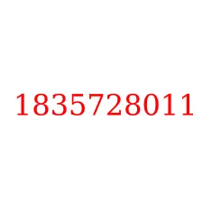 1835728011