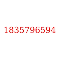 1835796594