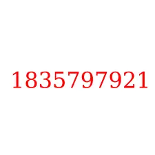 1835797921