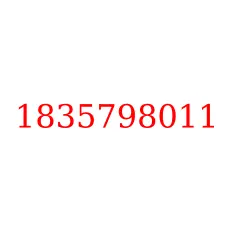 1835798011