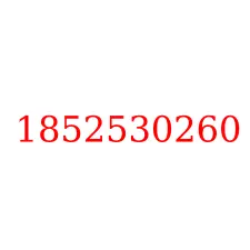 1852530260