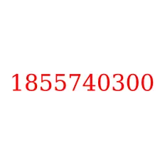 1855740300