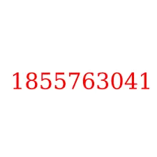 1855763041