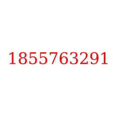 1855763291