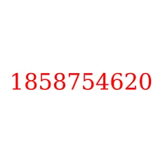 1858754620