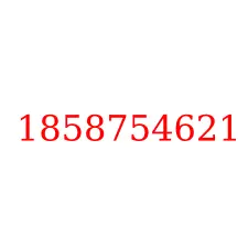 1858754621