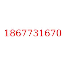 1867731670