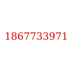 1867733971