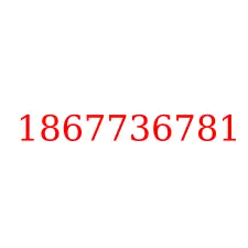 1867736781