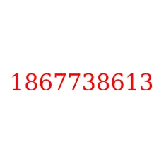 1867738613
