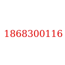 1868300116