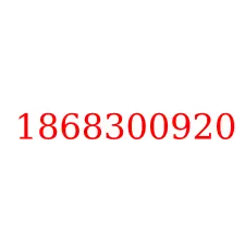 1868300920