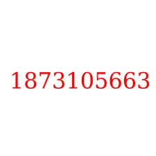 1873105663