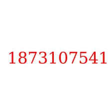 1873107541