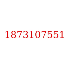 1873107551