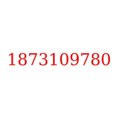 1873109780