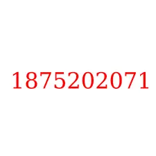 1875202071