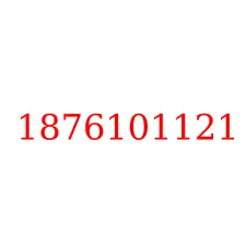 1876101121