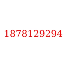 1878129294
