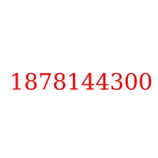 1878144300