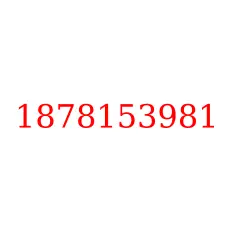 1878153981