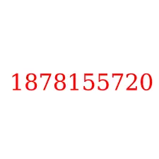 1878155720
