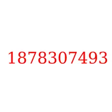1878307493