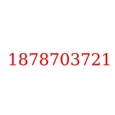 1878703721