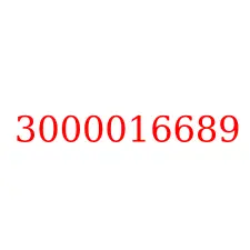 3000016689