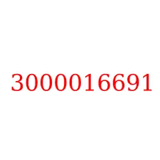 3000016691