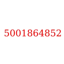 5001864852