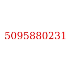 5095880231