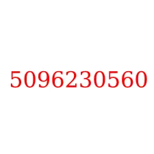 5096230560