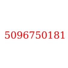 5096750181