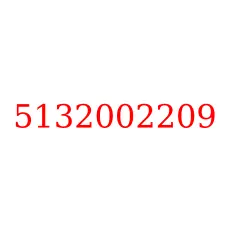 5132002209
