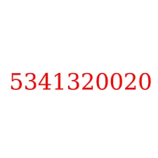 5341320020